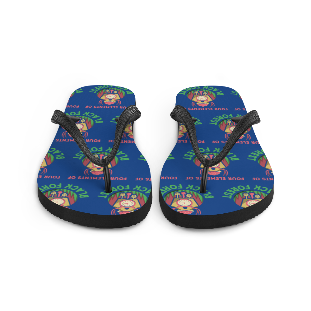 Flip-Flops