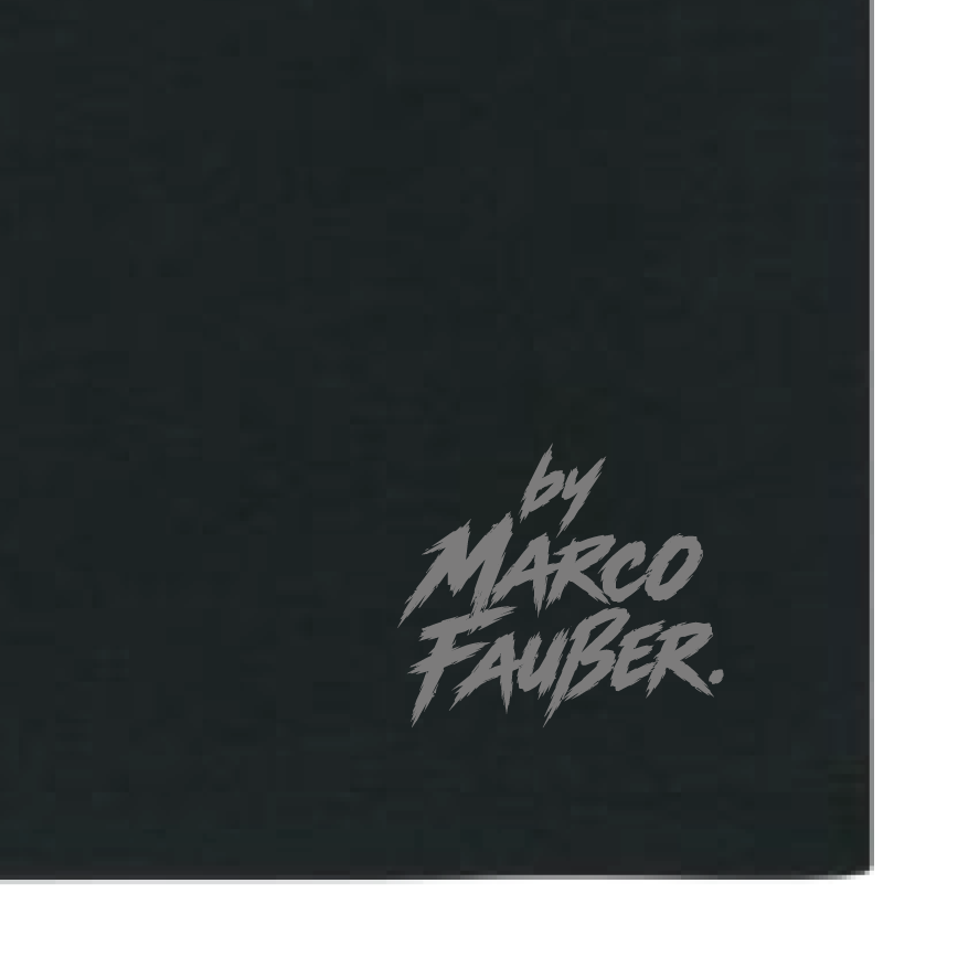Ninja Master Division by Marco Faußer | Bio Premium T-Shirt | Front- & Rückendruck